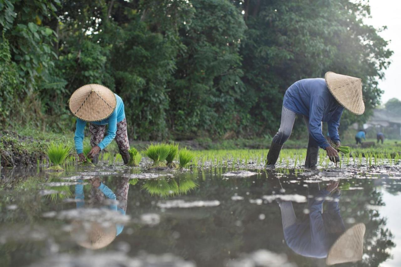 Royal Roco Villa Tanah Lot  Ngoại thất bức ảnh